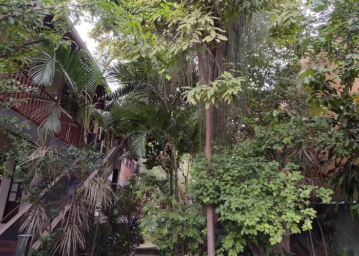 Casarao Com Amplo Quintal, A Paz Ao Lado Do Centro